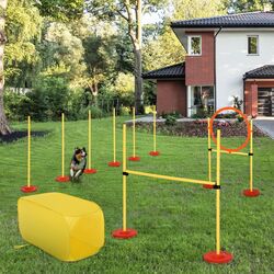 Набор Agility для дрессировки собак PawHut D07-024 (Yellow) Thumb