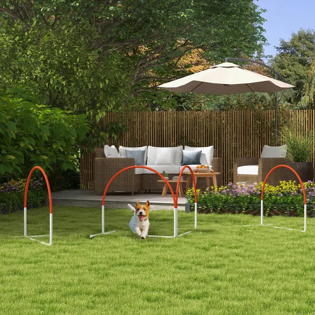 Set de antrenament pentru caini PawHut D07-042V00OG (Orange)