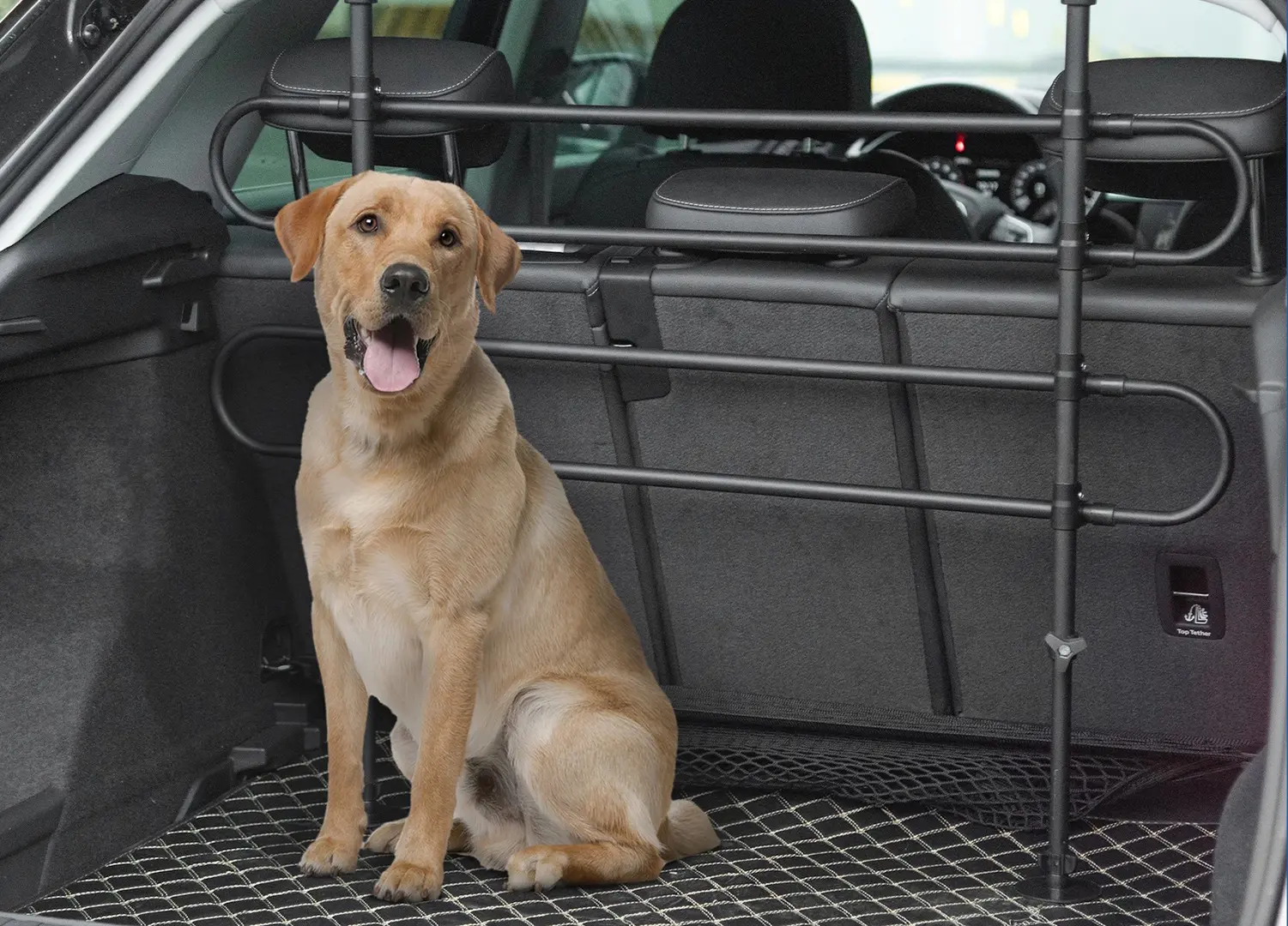 Grilaj separator pentru caini PawHut D00-002V01 (Black) - 8