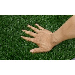 Туалет для собак PawHut D07-049V01GN (Green) Thumb