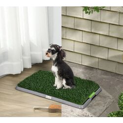 Туалет для собак PawHut D07-049V01GN (Green) Thumb