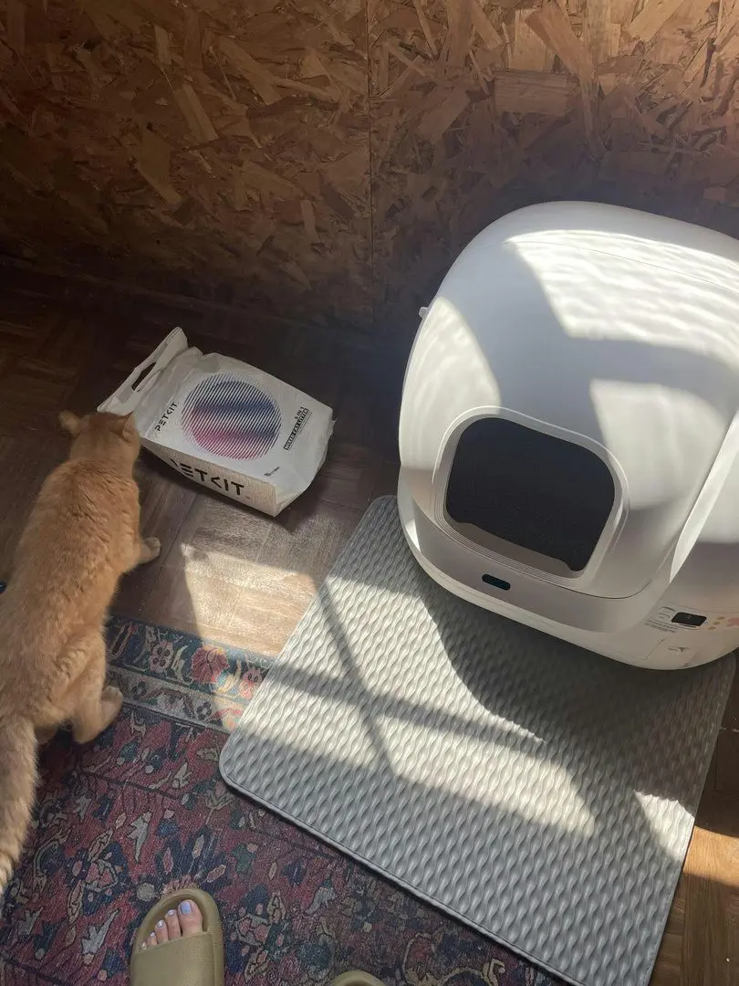 Самоочищающийся кошачий лоток Petkit PuraMax (White)