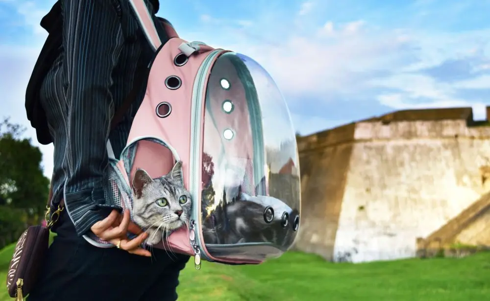 Рюкзак-переноска для домашних животных Petsi ME04-02 (Pink)