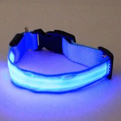 Ошейник светодиодный Procart 547607M (Blue) Thumb