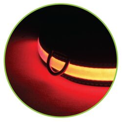 Ошейник светодиодный Procart 547607M (Red) Thumb