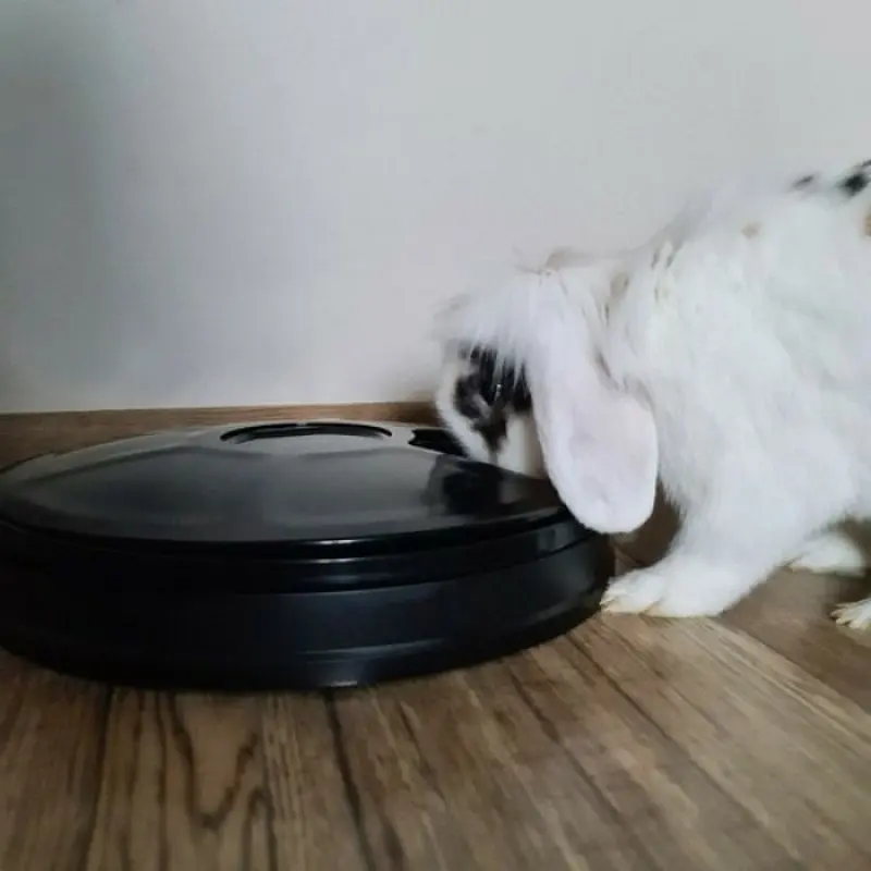 Dozator de mincare automat Purlov 20759 (Black)