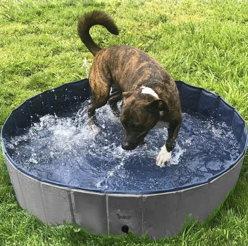 Piscina pentru caini Purlov 20929 (Blue/Grey)