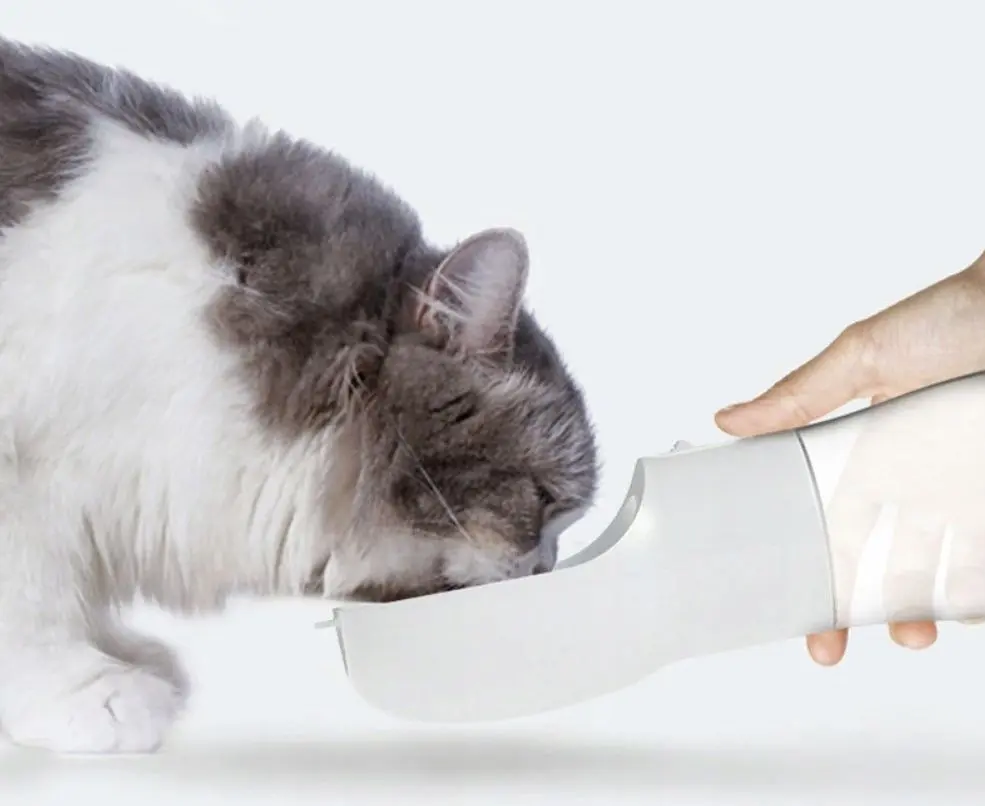 Sticla de apa 3in1 Purlov 21033 (Grey)