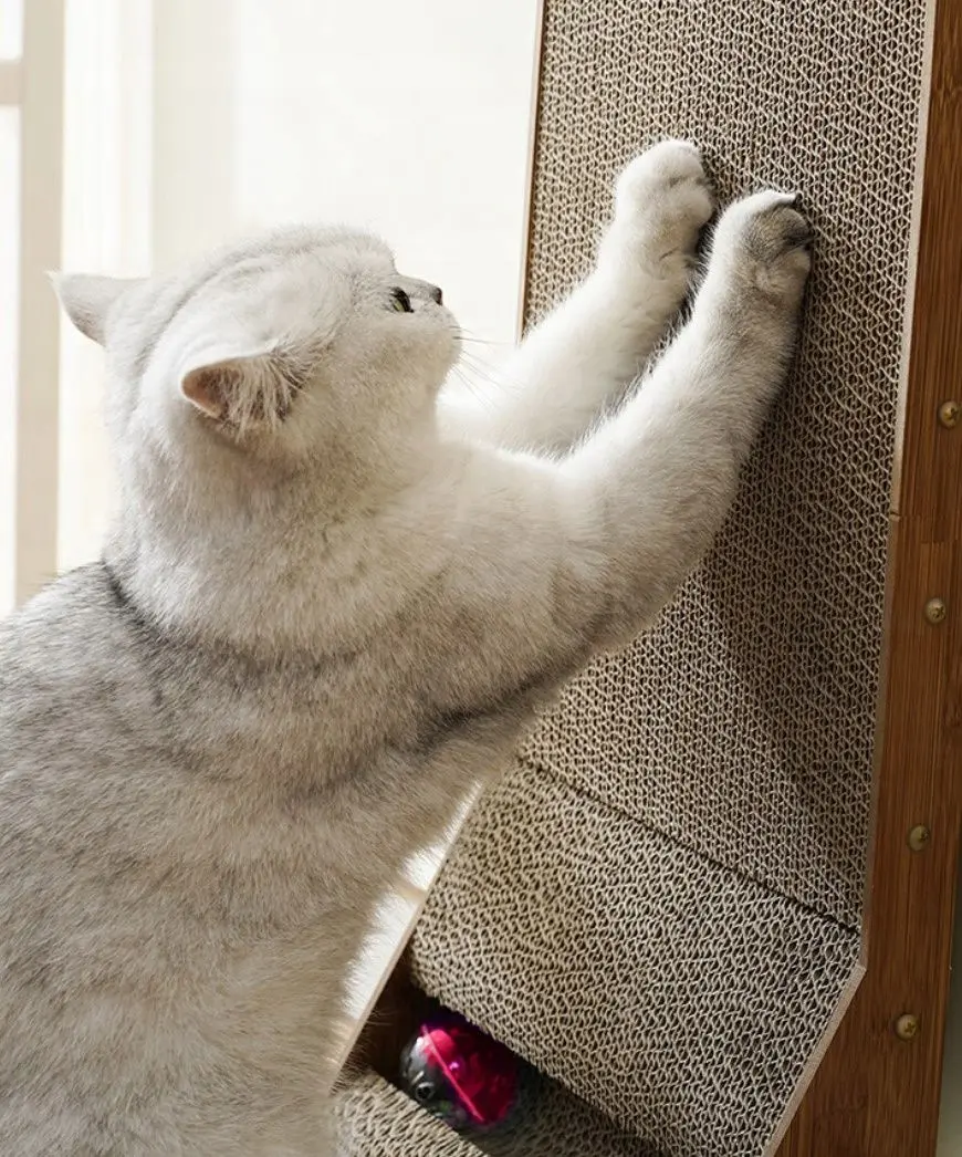 Ansamblu de joaca pentru pisici Purlov 22008 (Brown)