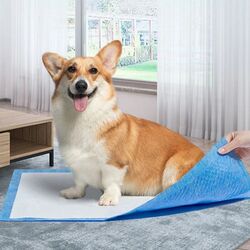 Set scutece de unica folosinta pentru animale Purlov 17213 33x45 100pcs Thumb