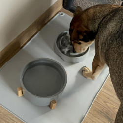 Covoras pentru litiera Purlov 24295 (Grey) Thumb