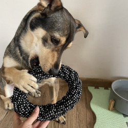 Набор игрушек для собак Purlov 24388 (Black/Yellow) Thumb