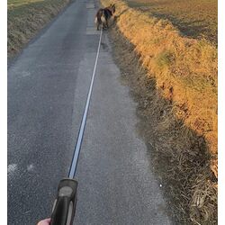 Поводок автоматический Purlov 19786 (Black/Grey) Thumb