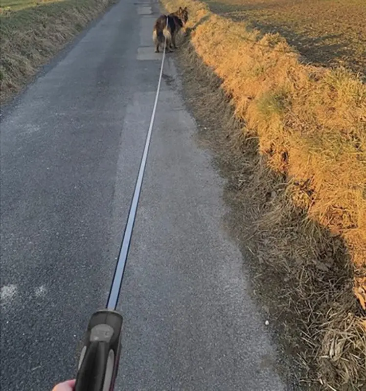 Поводок автоматический Purlov 19786 (Black/Grey)