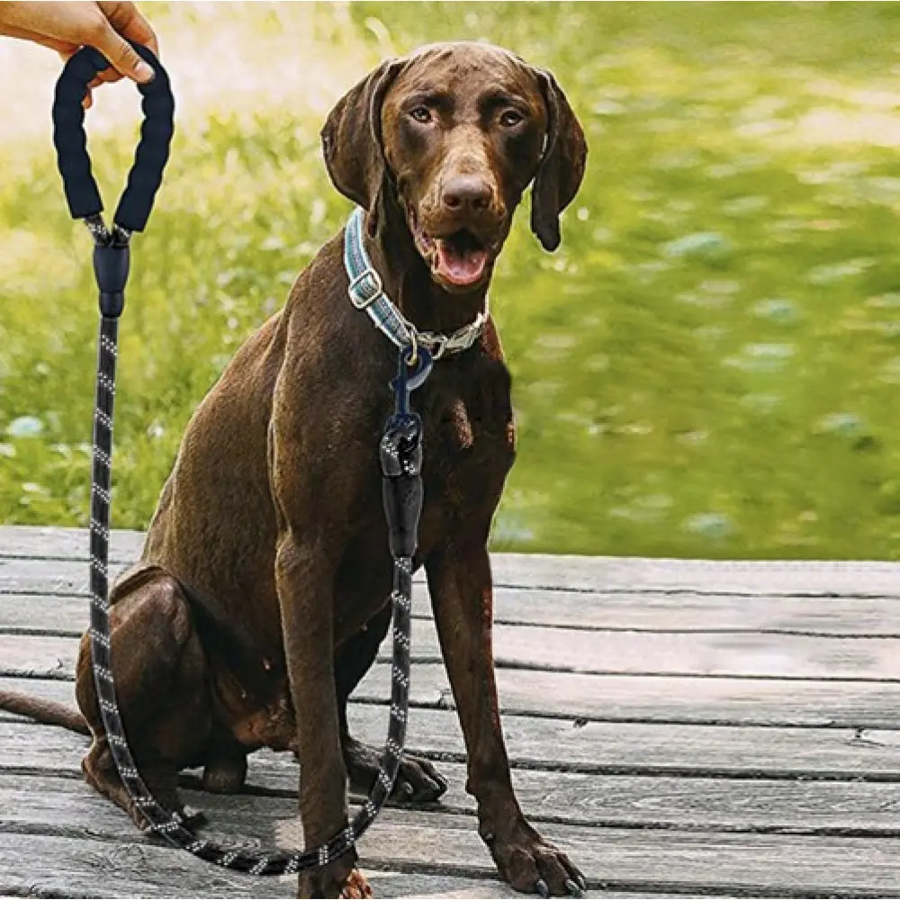 Lesa Purlov 21654 (Black) - 2