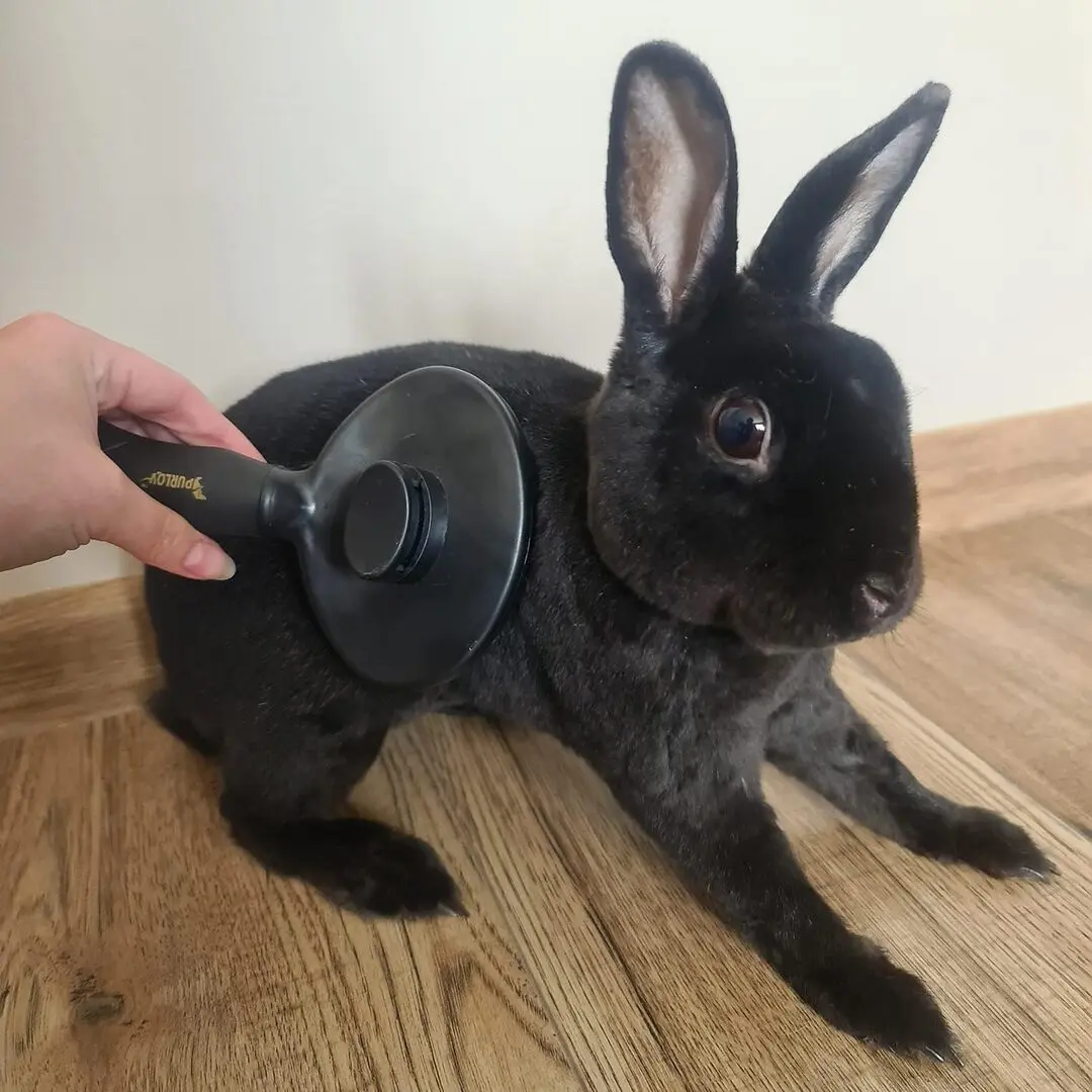 Расческа для животных Purlov 18905 (Black)