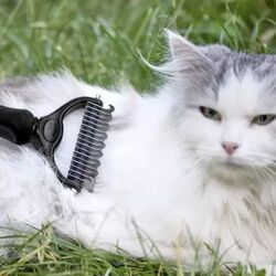 Расческа для животных Purlov 20427 (Black) Thumb