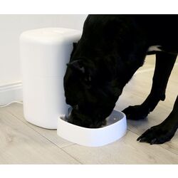 Автоматический дозатор пищи Tellur Smart TLL331461 (White) Thumb