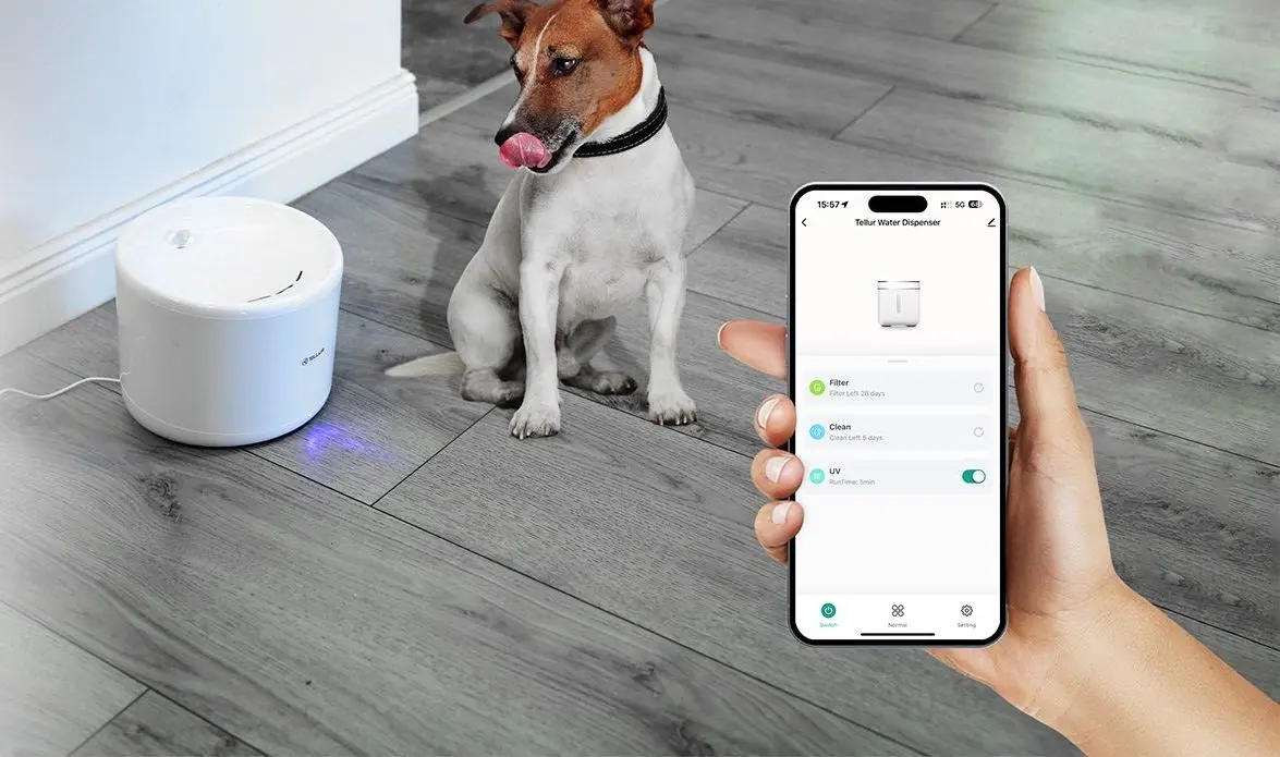Питьевой фонтанчик Tellur Smart TLL331471 (White) - 6