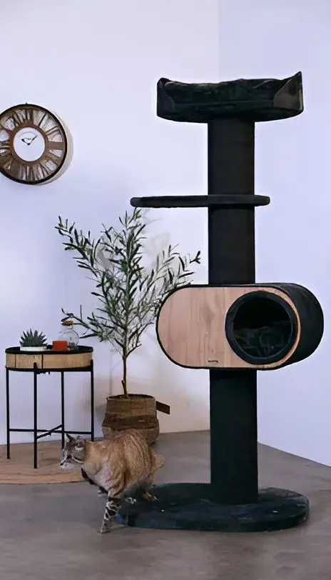 Pat cu zgarietor Zolux 504162 (Dark Grey)