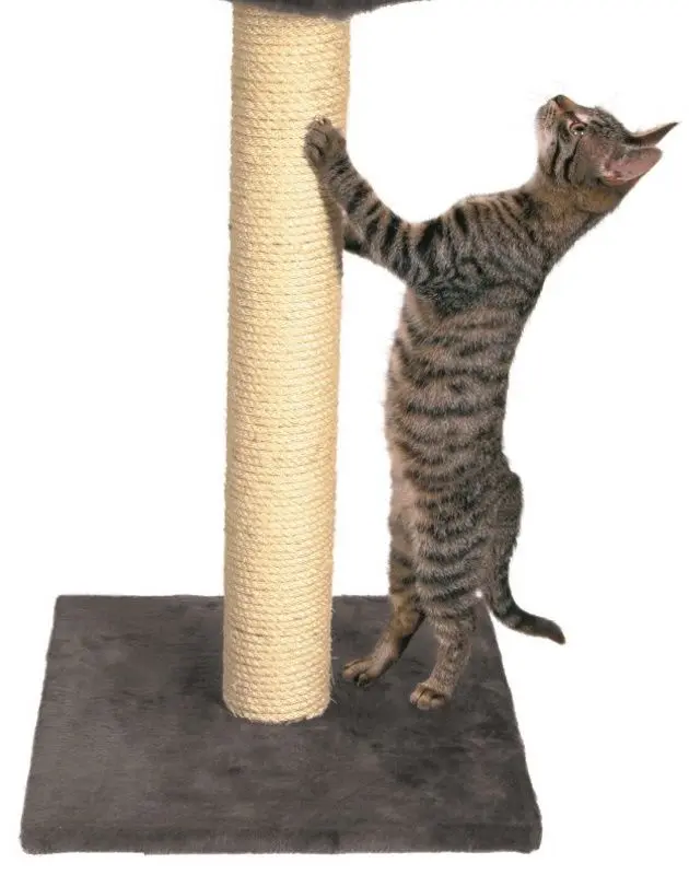 Когтеточка-лежак Zolux Big Cat 1 504093 (Black/Natural)