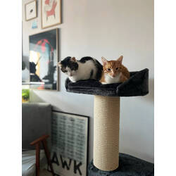 Pat cu zgarietor Zolux Big Cat 2 504094 (Black/Natural) Thumb