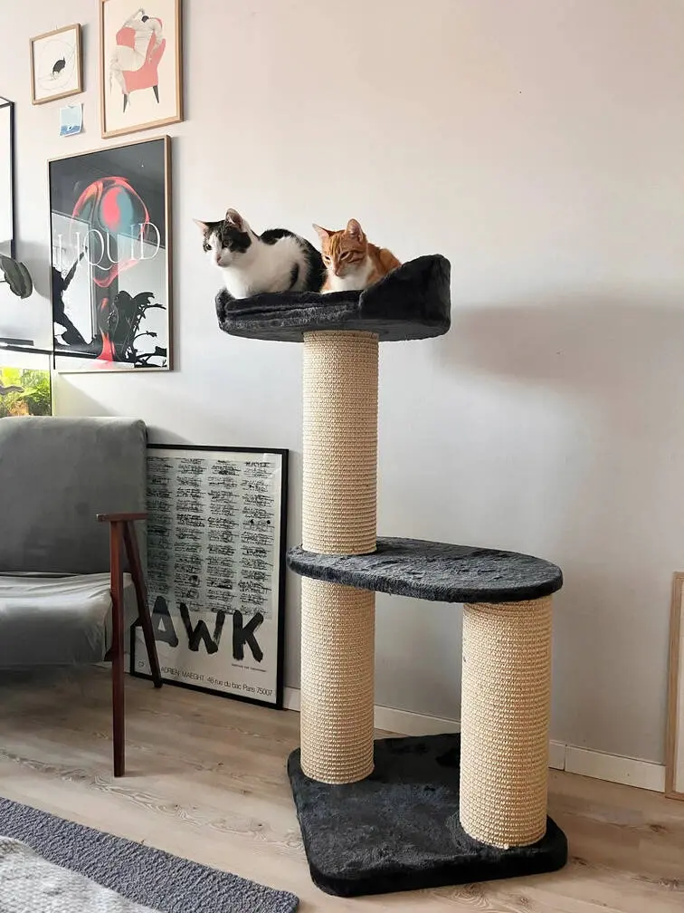 Pat cu zgarietor Zolux Big Cat 2 504094 (Black/Natural)