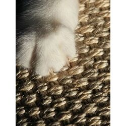 Zgarietoare suspendata pentru pisici Zolux 504039 (Grey) Thumb