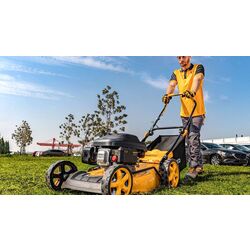 Бензиновая газонокосилка Ingco GLM196201 (Yellow/Black) Thumb