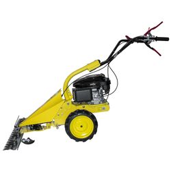 Мотокосилка Ruris CLD-SW01 Thumb