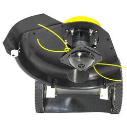 Бензиновая газонокосилка Texas Pro Trim 600 Thumb