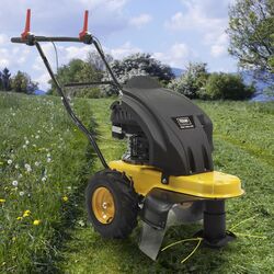 Бензиновая газонокосилка Texas Pro Trim 600TR (Black/Yellow) Thumb