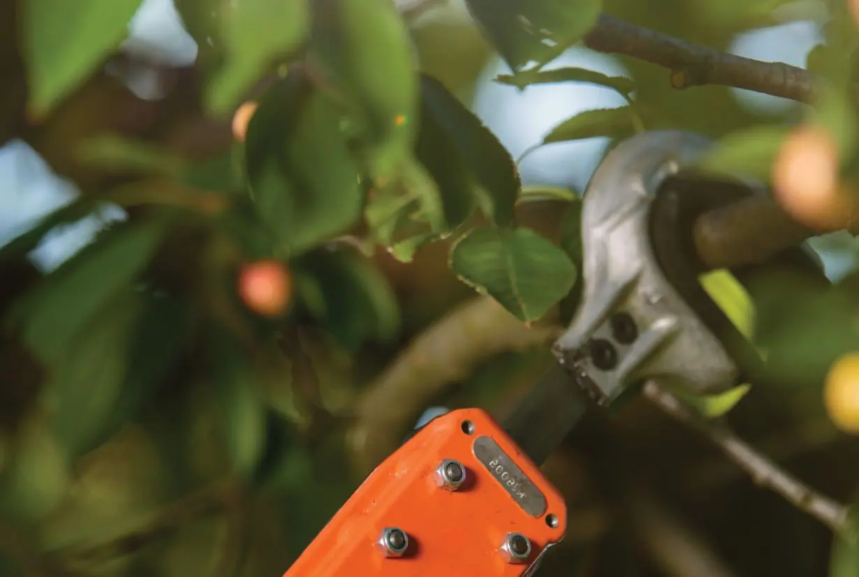 Многофункциональный инструмент Villager MBBC 52 SS