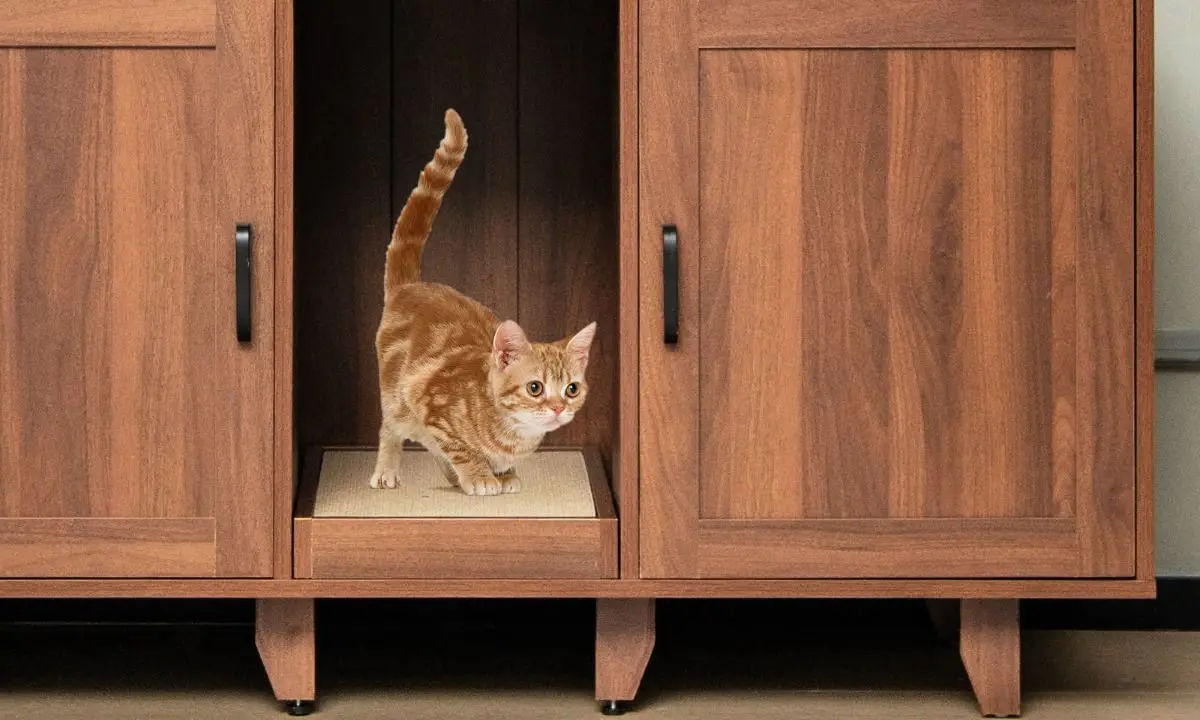 Домик для кошек Costway PV10040CF (Brown)