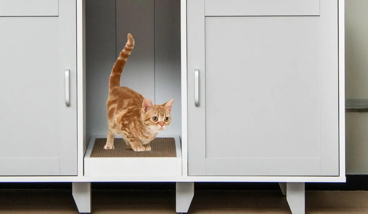 Casuta pentru pisici Costway PV10040GR (Grey)