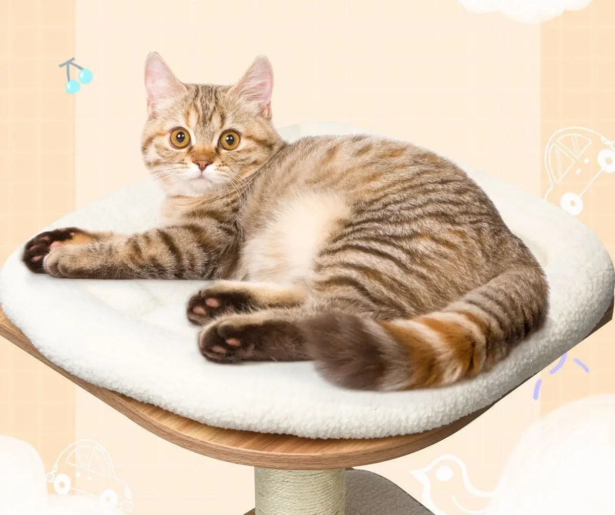 Игровой комплекс для кошек Costway PS7431NA (Natural)