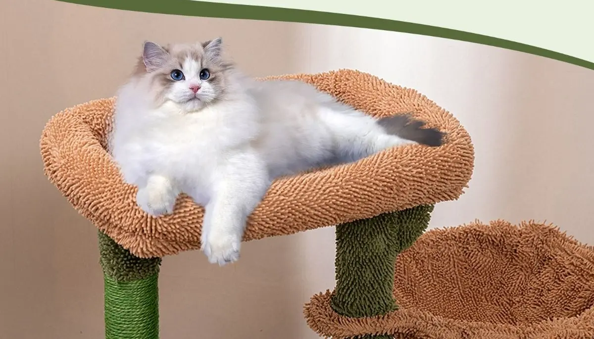 Ansamblu de joaca pentru pisici Costway PV10196GN (Green/Brown)