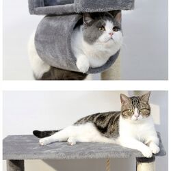 Игровой комплекс для кошек Purlov 21713 (Grey) Thumb