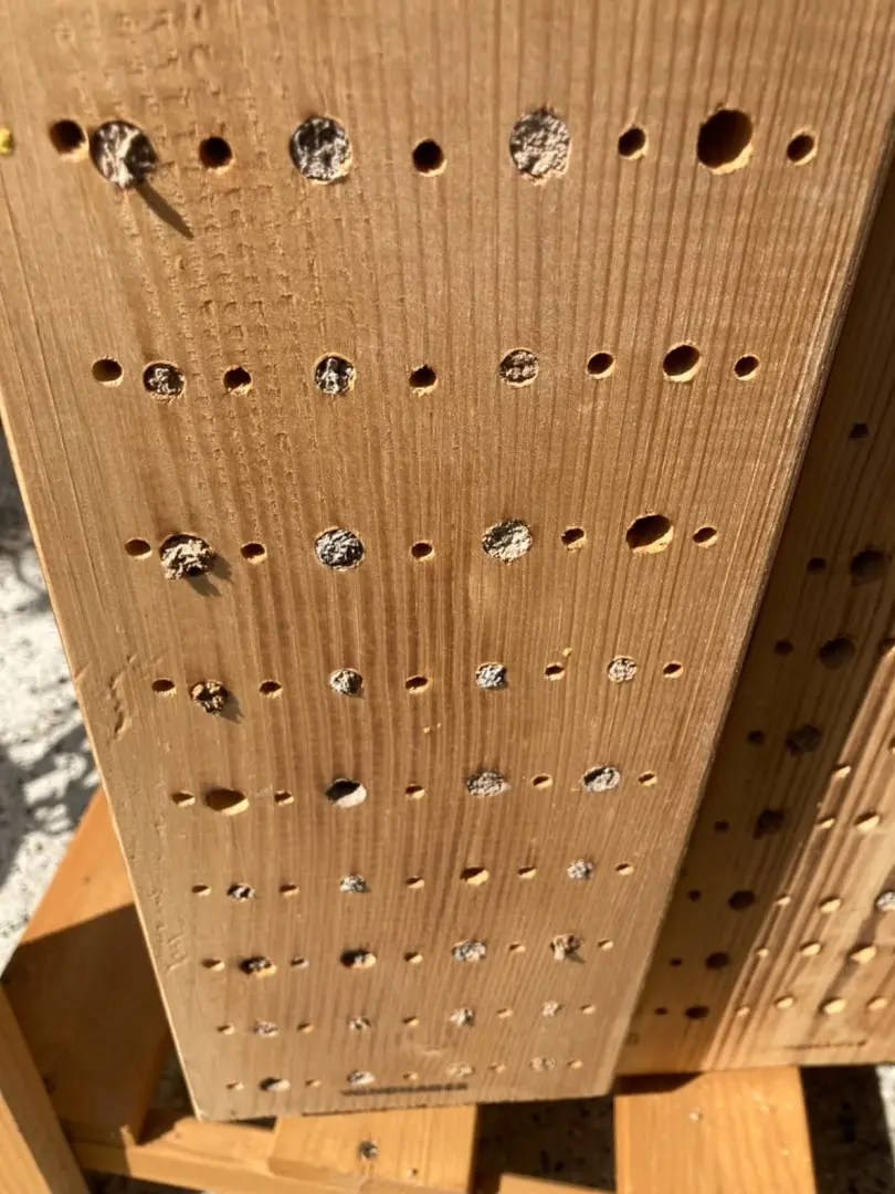 Домик для насекомых Windhager 6995/17 (Woody)