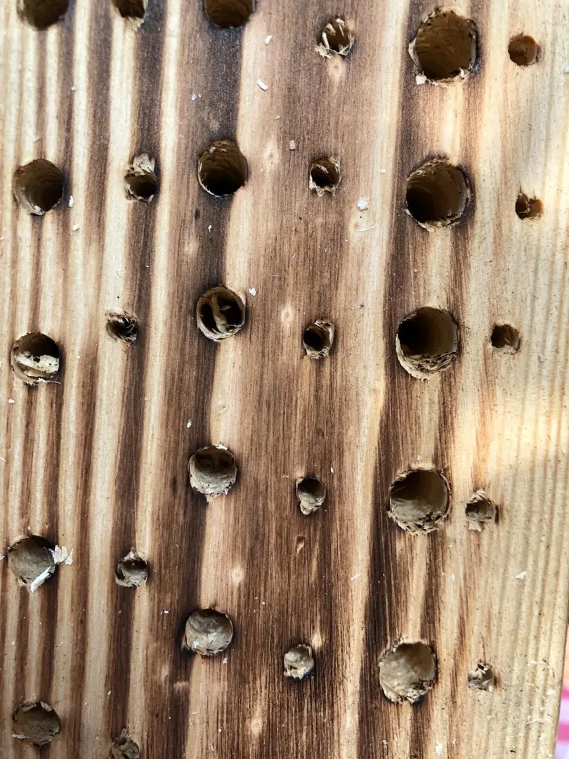 Домик для насекомых Windhager 6995/17 (Woody)