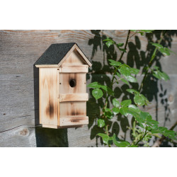 Casuta pentru pasari Windhager 06997 (Woody) Thumb