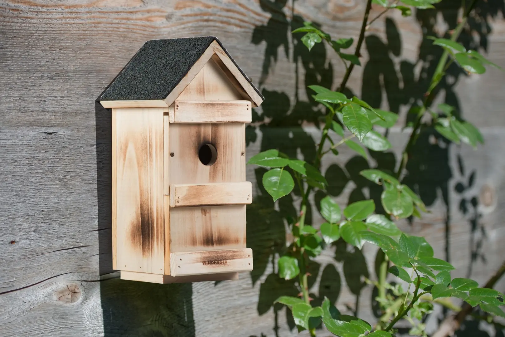 Casuta pentru pasari Windhager 06997 (Woody) - 5