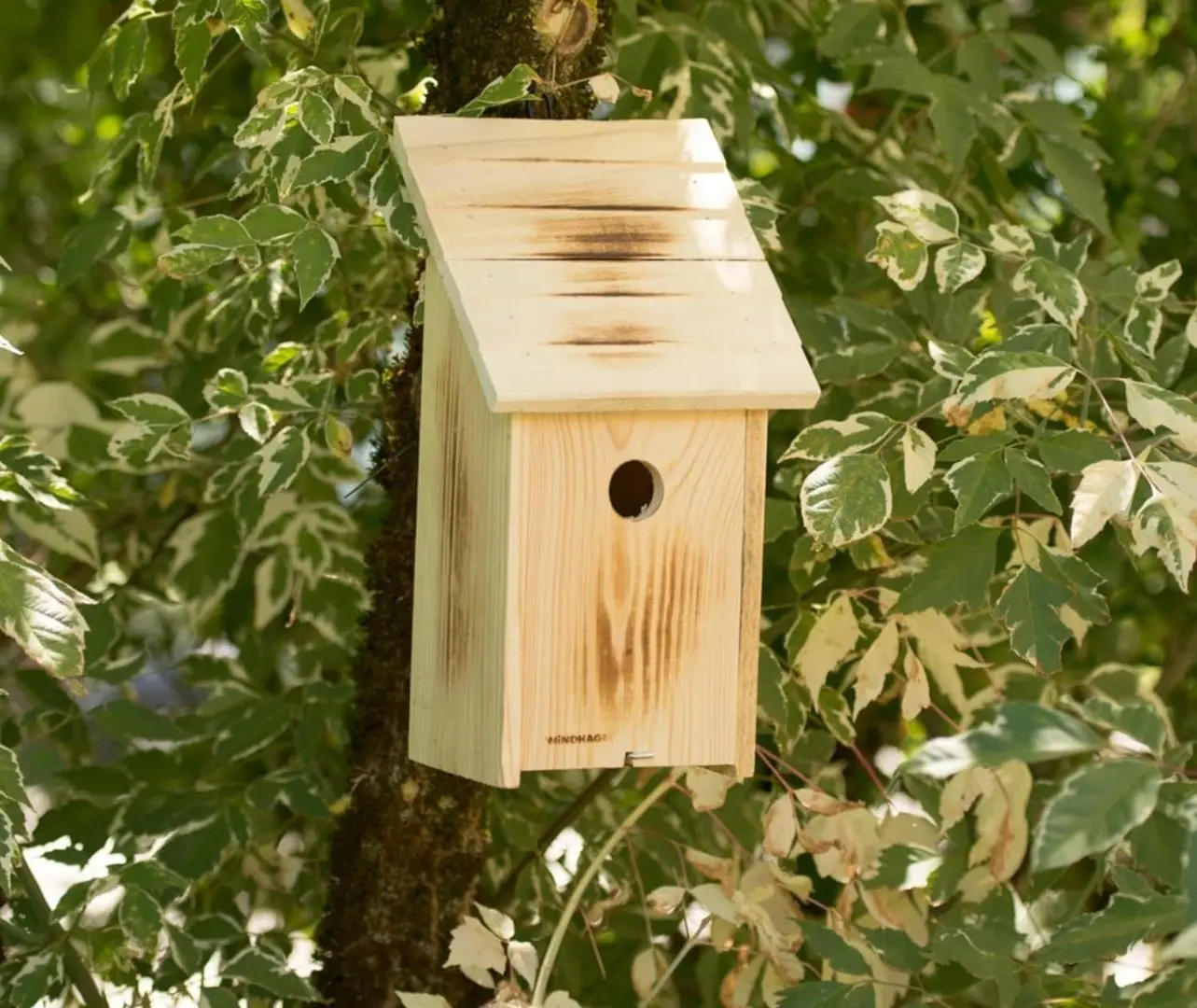 Скворечник Windhager Family 6922 (Woody)