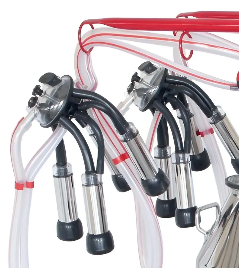 Aparat de muls Barbaros T440 INIC (для коров)