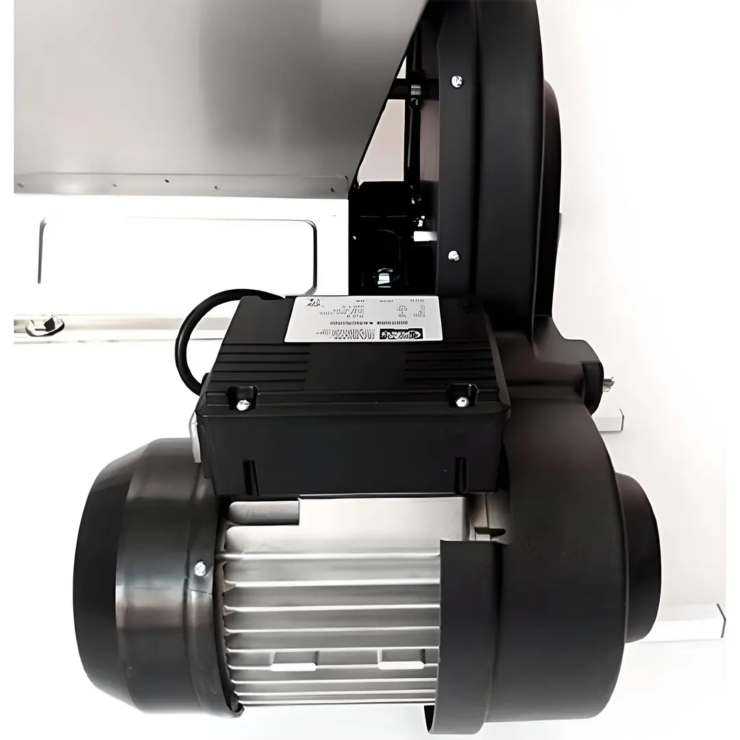 Zdrobitor de struguri electric Grifo DMSSI-INT (Inox)