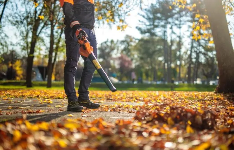 Аккумуляторная воздуходувка Villager Fuse VBV 2120 1BCB