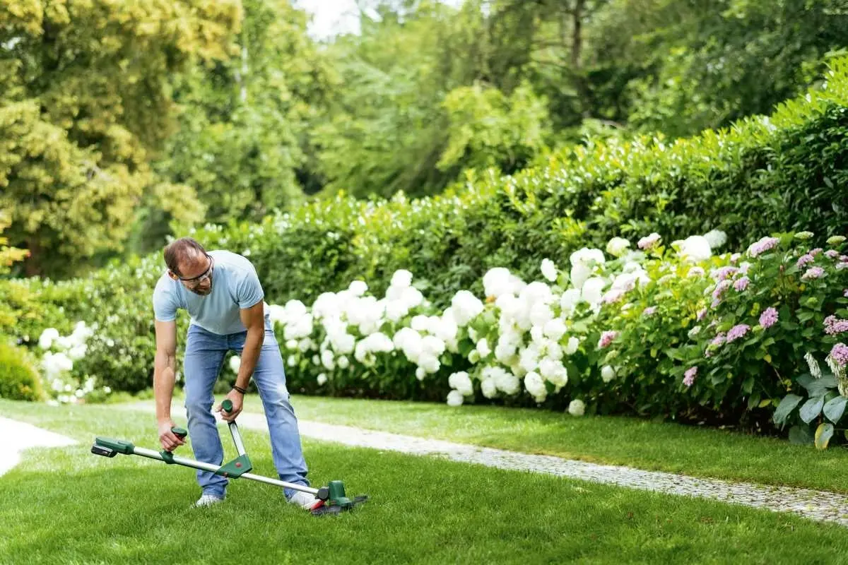 Триммер электрический Bosch UniversalGrassCut 18V-260 06008C1D05