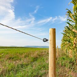 Pachet gard electric Agro Electro DL7200 + 0252 3000m + sistem solar 50W + Acc for domestic animal Thumb