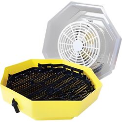 Incubator Cleo 2170525 Thumb