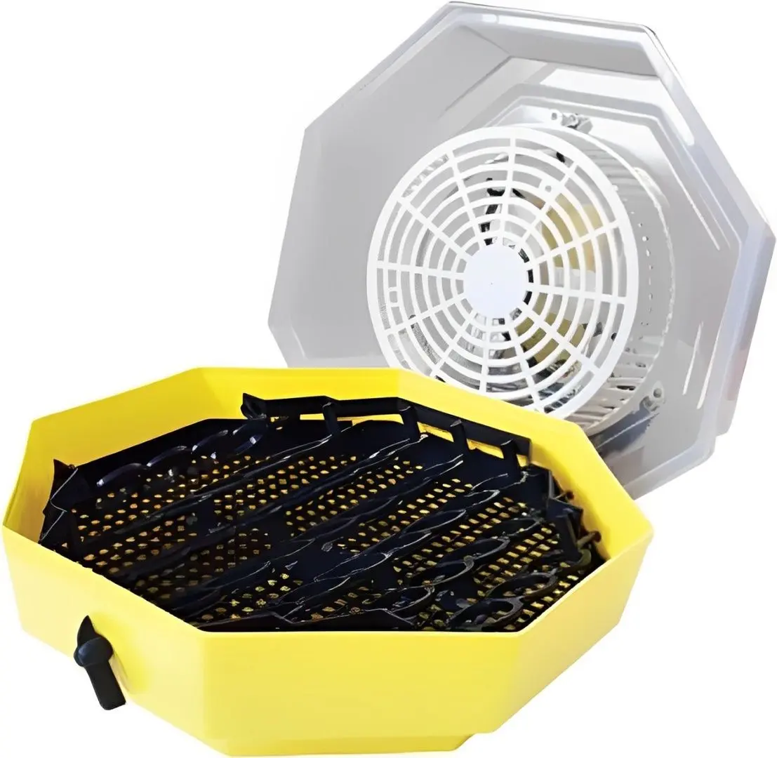 Incubator Cleo 2170525